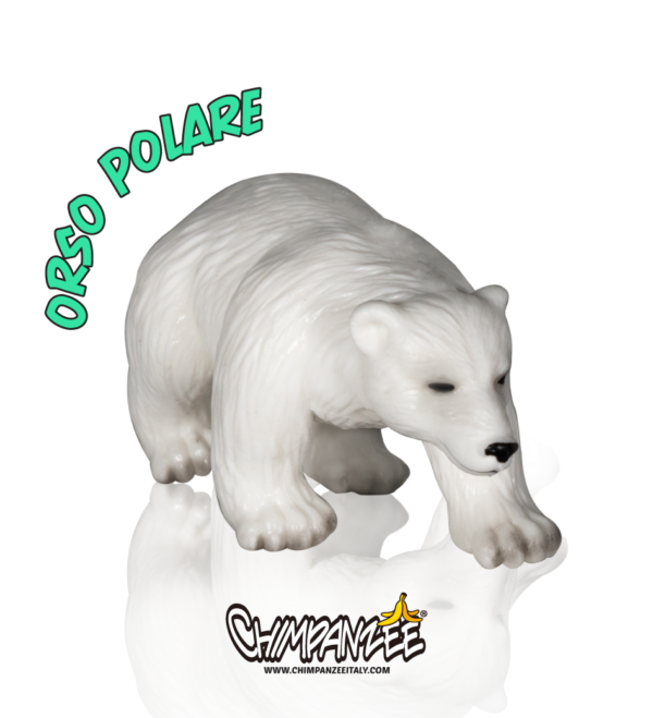 orso polare animalpedia
