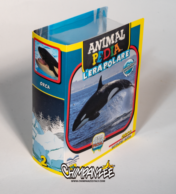 animalpedia bustine orca
