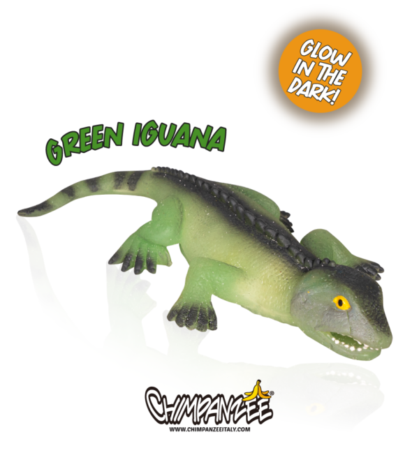 green iguana