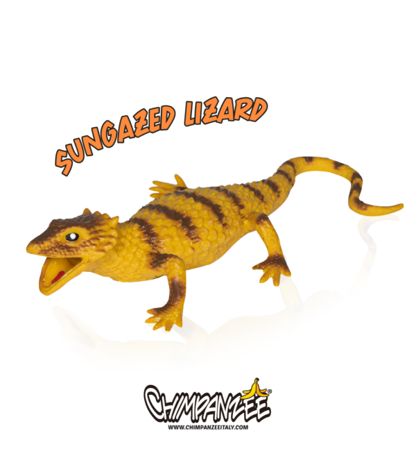 sungazed lizard